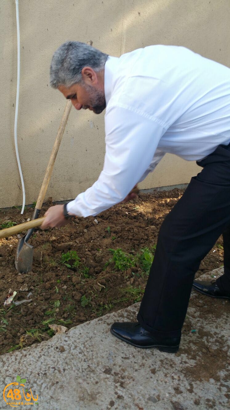 tomashin lduaj (18).jpg